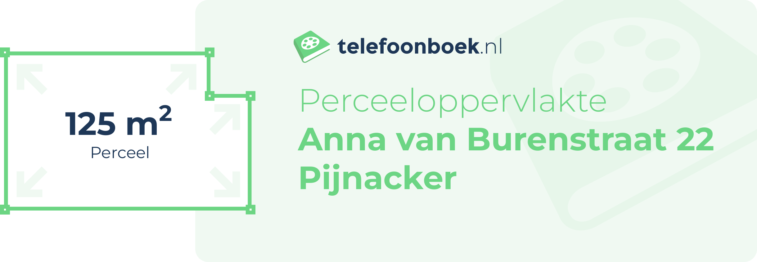 Perceeloppervlakte Anna Van Burenstraat 22 Pijnacker