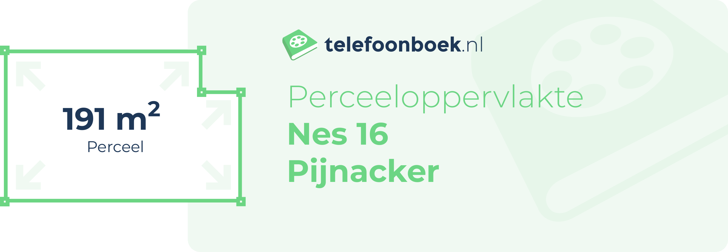 Perceeloppervlakte Nes 16 Pijnacker