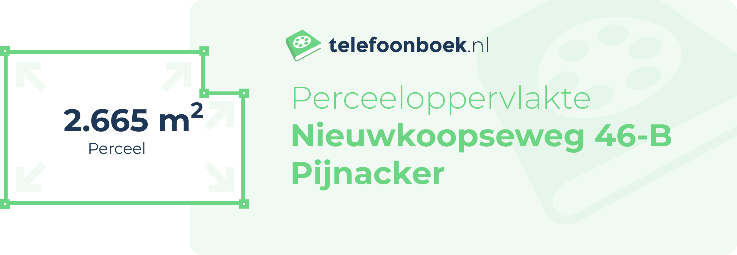 Perceeloppervlakte Nieuwkoopseweg 46-B Pijnacker