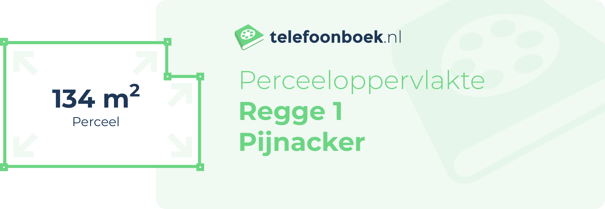 Perceeloppervlakte Regge 1 Pijnacker