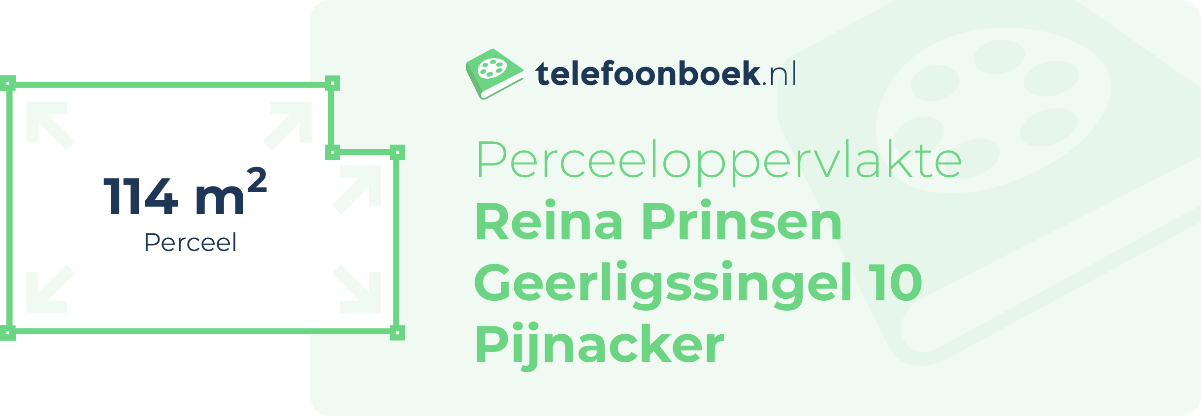 Perceeloppervlakte Reina Prinsen Geerligssingel 10 Pijnacker