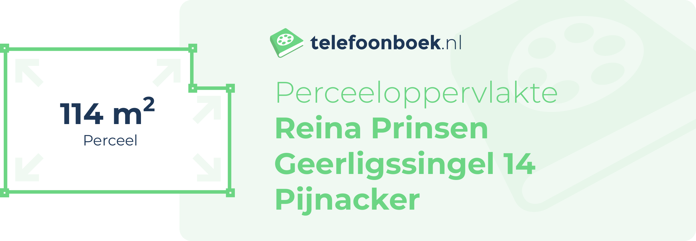 Perceeloppervlakte Reina Prinsen Geerligssingel 14 Pijnacker