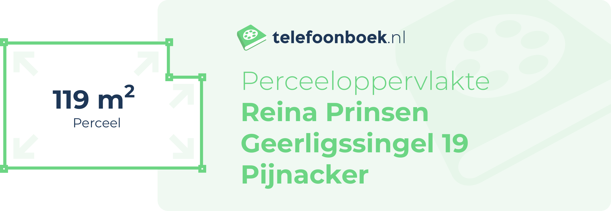 Perceeloppervlakte Reina Prinsen Geerligssingel 19 Pijnacker