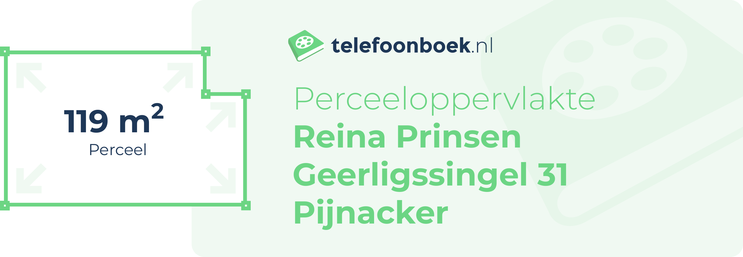 Perceeloppervlakte Reina Prinsen Geerligssingel 31 Pijnacker