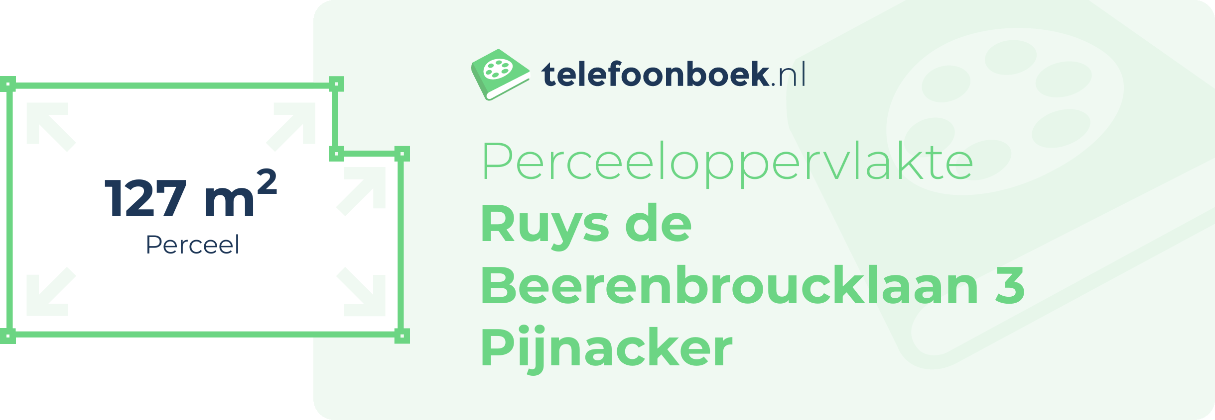 Perceeloppervlakte Ruys De Beerenbroucklaan 3 Pijnacker