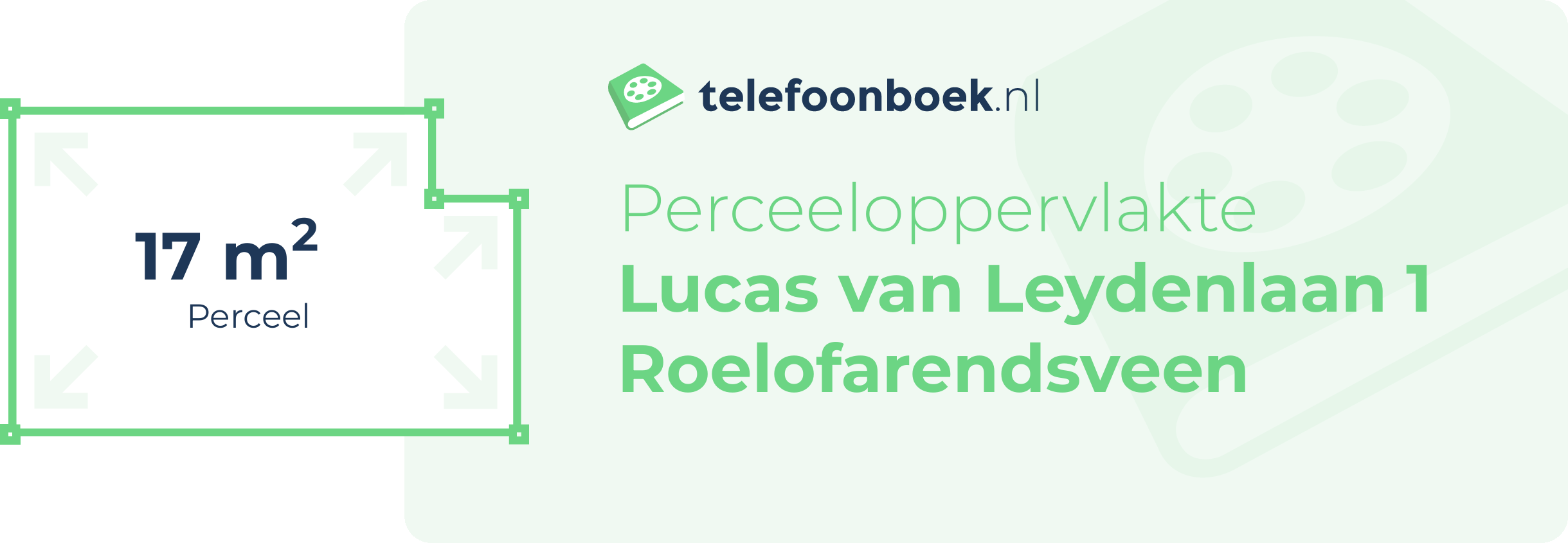 Perceeloppervlakte Lucas Van Leydenlaan 1 Roelofarendsveen