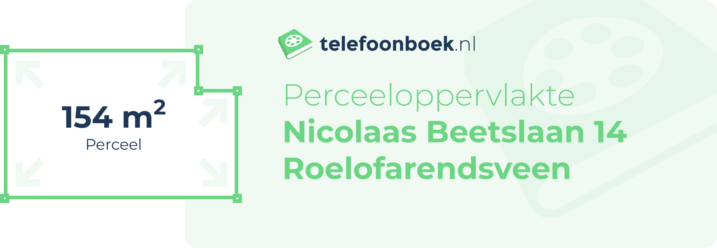 Perceeloppervlakte Nicolaas Beetslaan 14 Roelofarendsveen