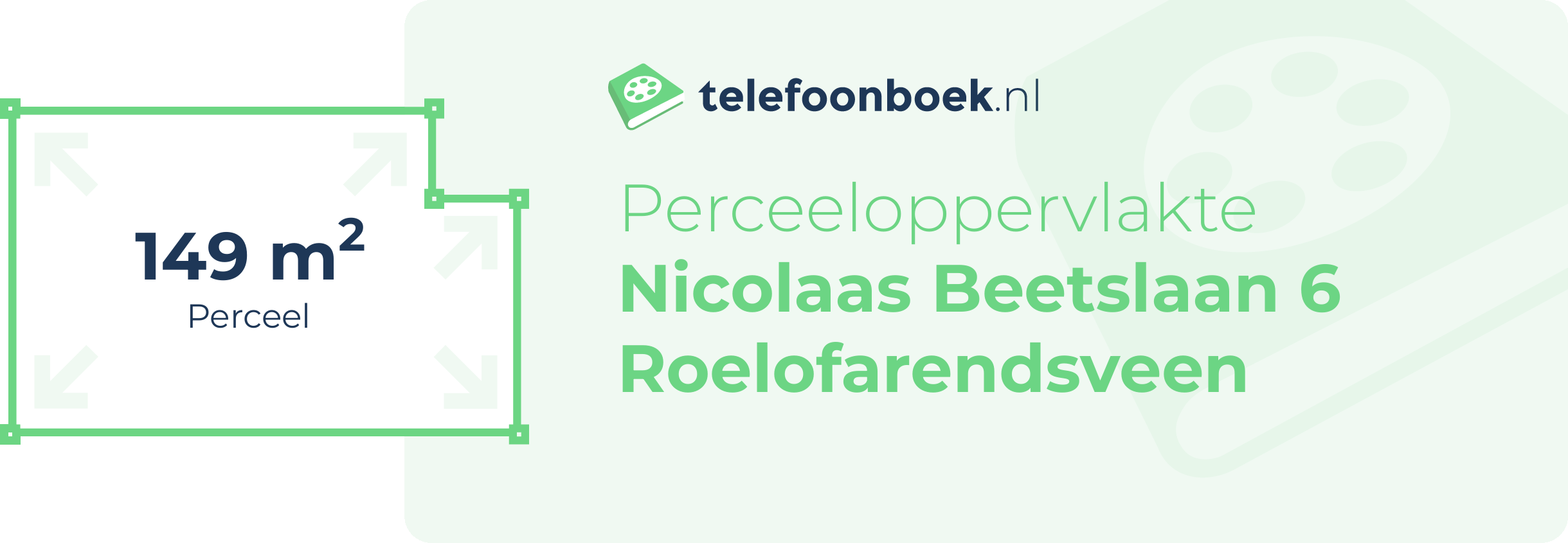 Perceeloppervlakte Nicolaas Beetslaan 6 Roelofarendsveen