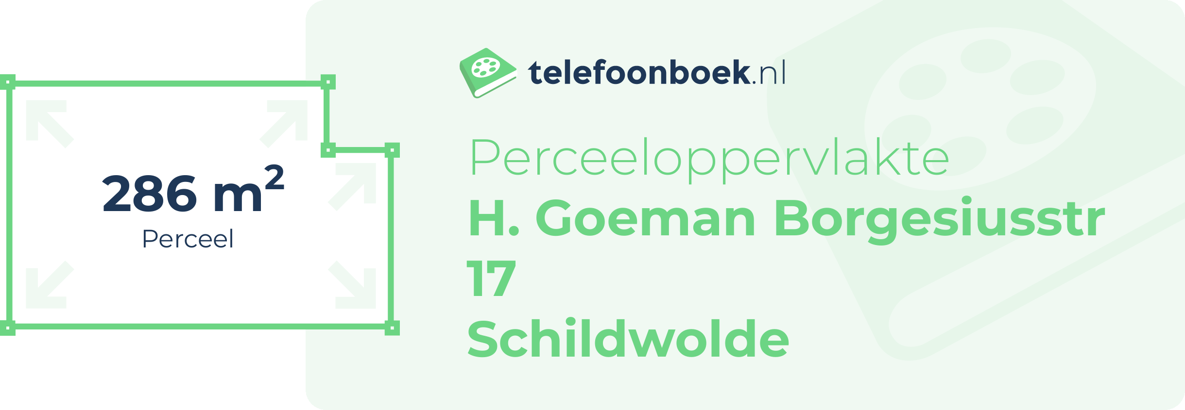 Perceeloppervlakte H. Goeman Borgesiusstr 17 Schildwolde