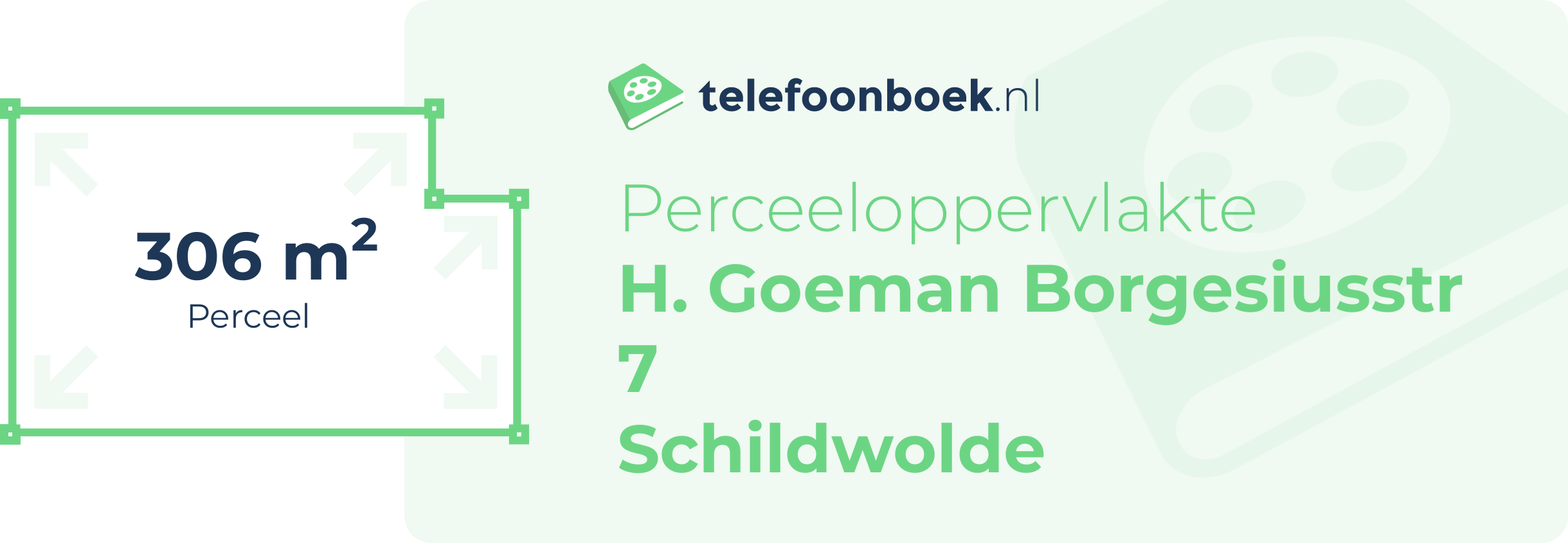 Perceeloppervlakte H. Goeman Borgesiusstr 7 Schildwolde