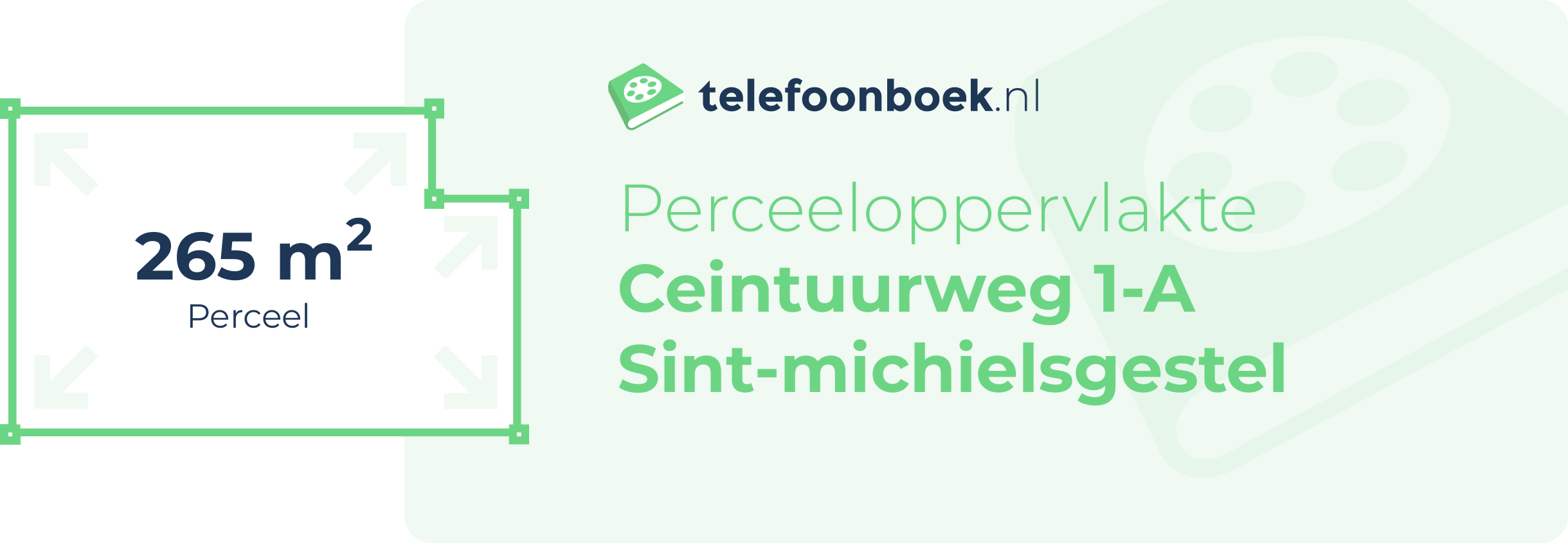 Perceeloppervlakte Ceintuurweg 1-A Sint-Michielsgestel