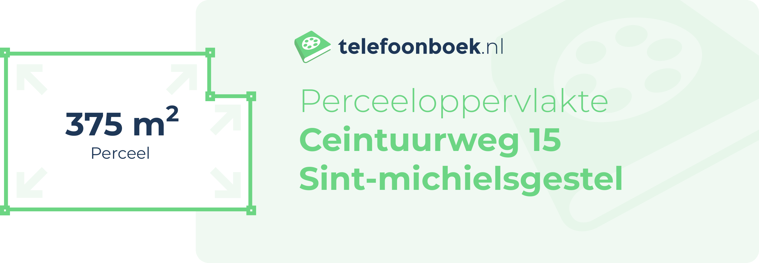 Perceeloppervlakte Ceintuurweg 15 Sint-Michielsgestel