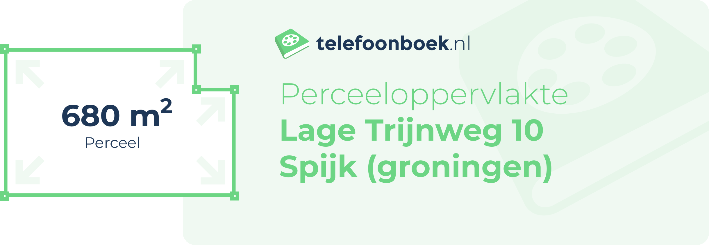 Perceeloppervlakte Lage Trijnweg 10 Spijk (Groningen)