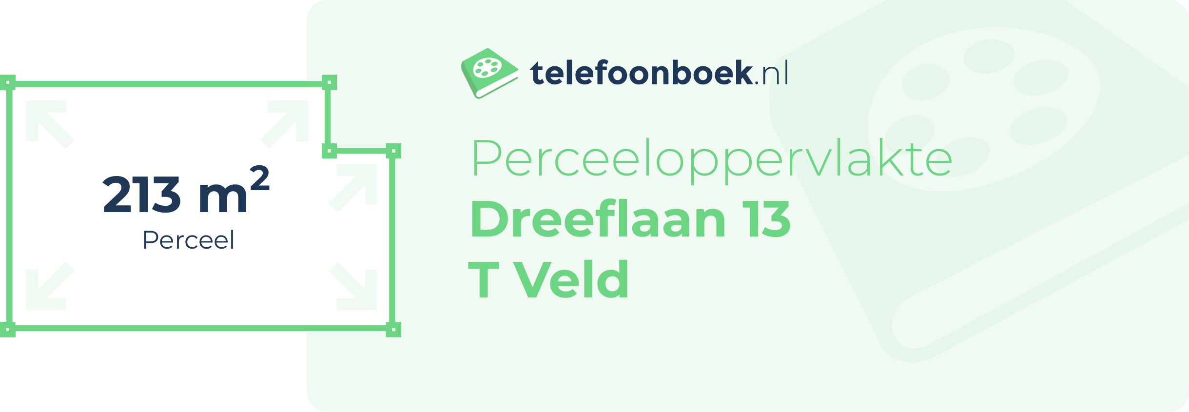 Perceeloppervlakte Dreeflaan 13 T Veld