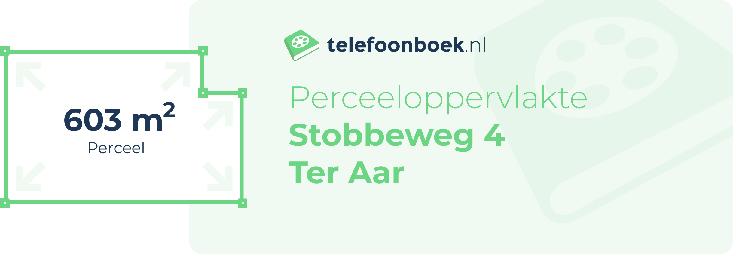 Perceeloppervlakte Stobbeweg 4 Ter Aar