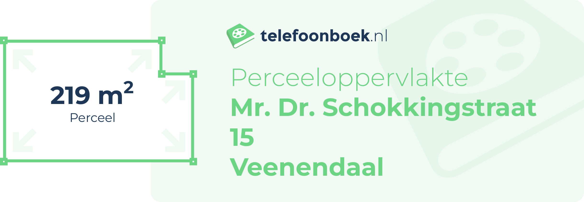 Perceeloppervlakte Mr. Dr. Schokkingstraat 15 Veenendaal