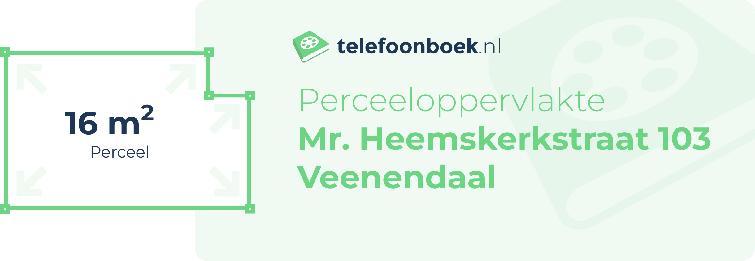 Perceeloppervlakte Mr. Heemskerkstraat 103 Veenendaal