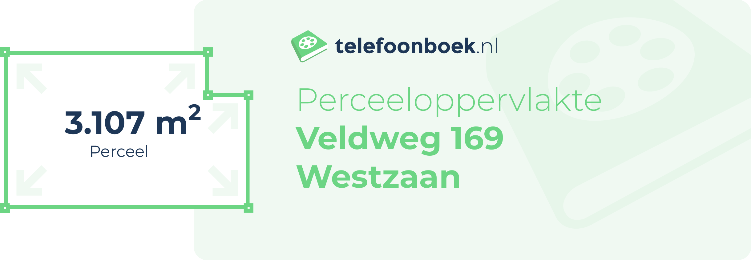 Perceeloppervlakte Veldweg 169 Westzaan