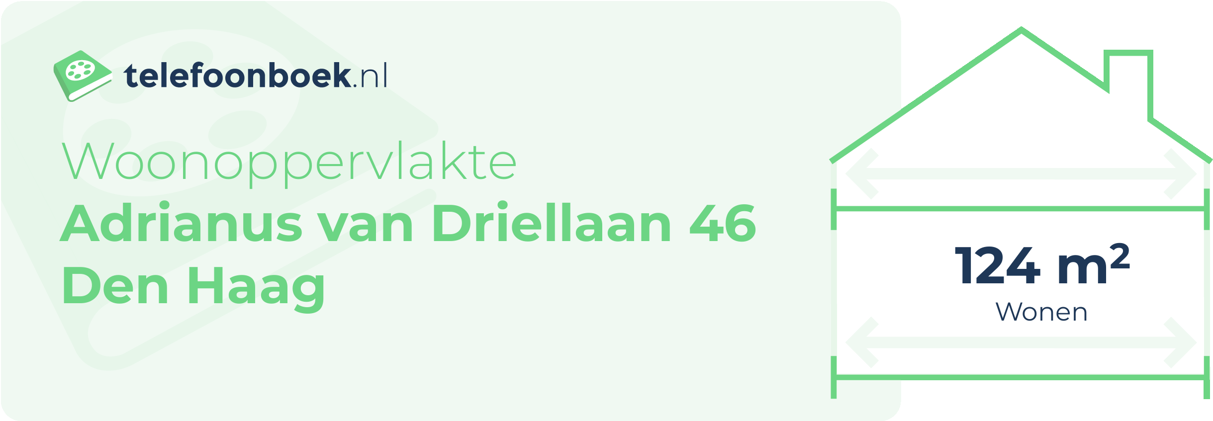 Woonoppervlakte Adrianus Van Driellaan 46 Den Haag