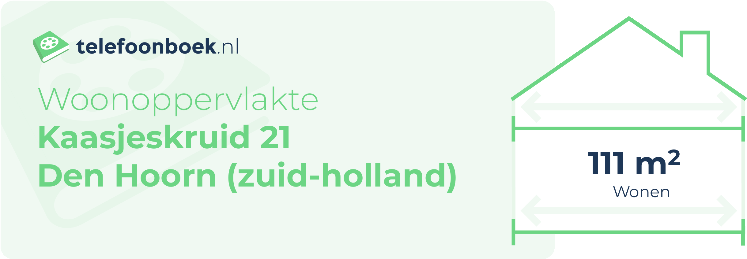 Woonoppervlakte Kaasjeskruid 21 Den Hoorn (Zuid-Holland)