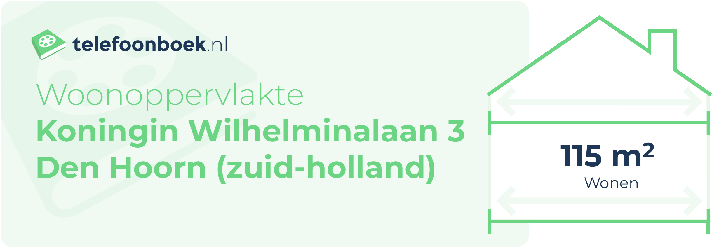 Woonoppervlakte Koningin Wilhelminalaan 3 Den Hoorn (Zuid-Holland)