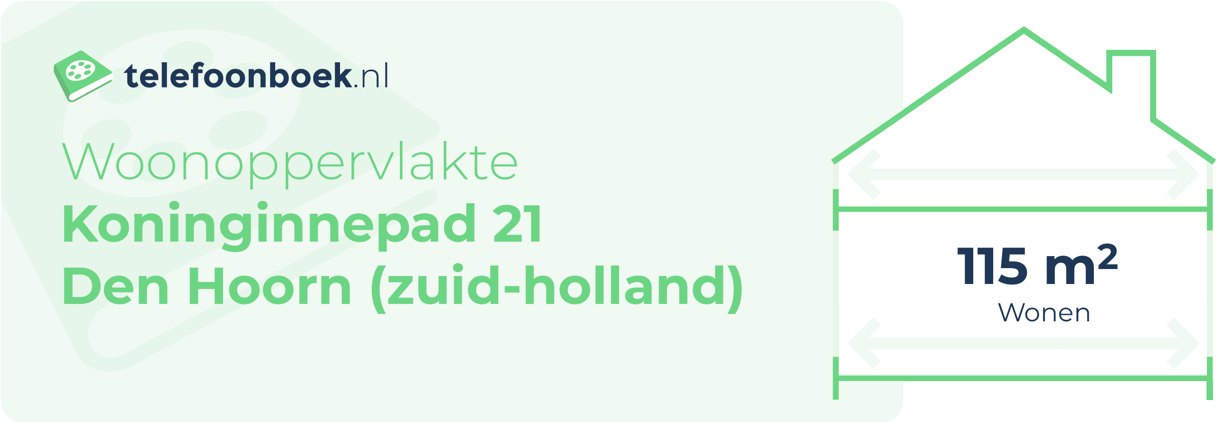 Woonoppervlakte Koninginnepad 21 Den Hoorn (Zuid-Holland)