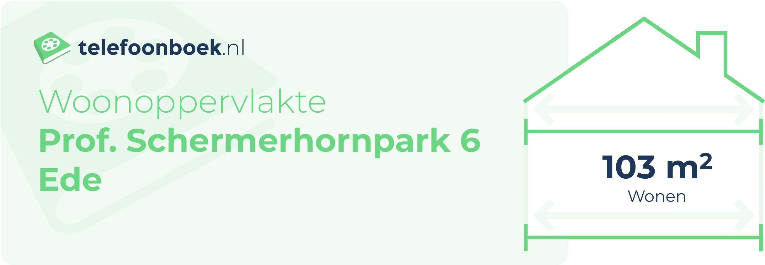 Woonoppervlakte Prof. Schermerhornpark 6 Ede