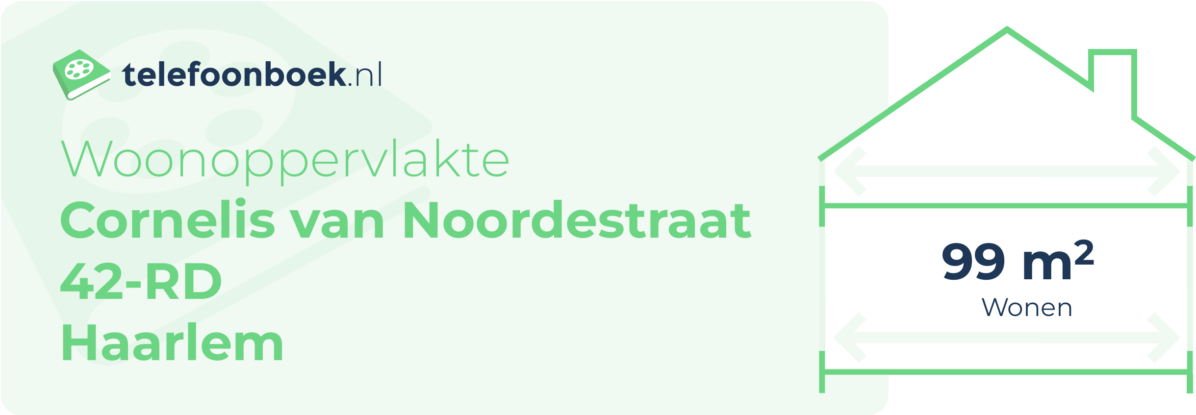 Woonoppervlakte Cornelis Van Noordestraat 42-RD Haarlem