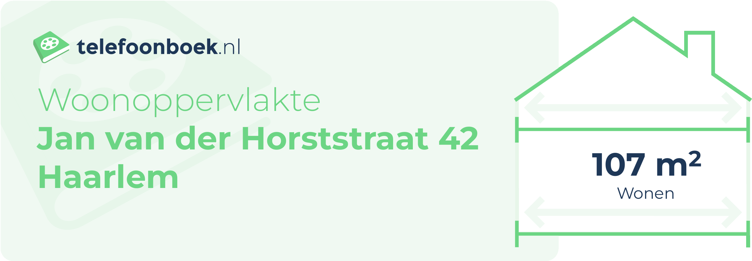 Woonoppervlakte Jan Van Der Horststraat 42 Haarlem