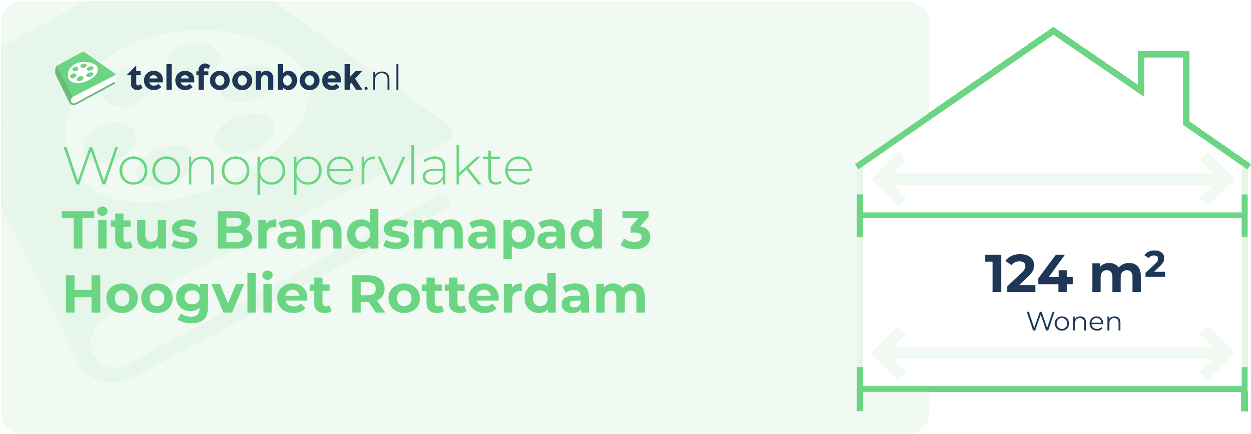 Woonoppervlakte Titus Brandsmapad 3 Hoogvliet Rotterdam